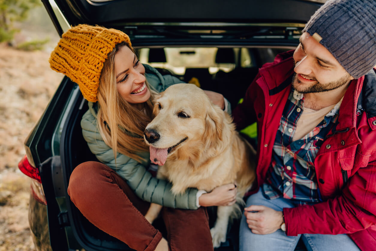 Znajdź współwłaściciela ze zniżkami OC